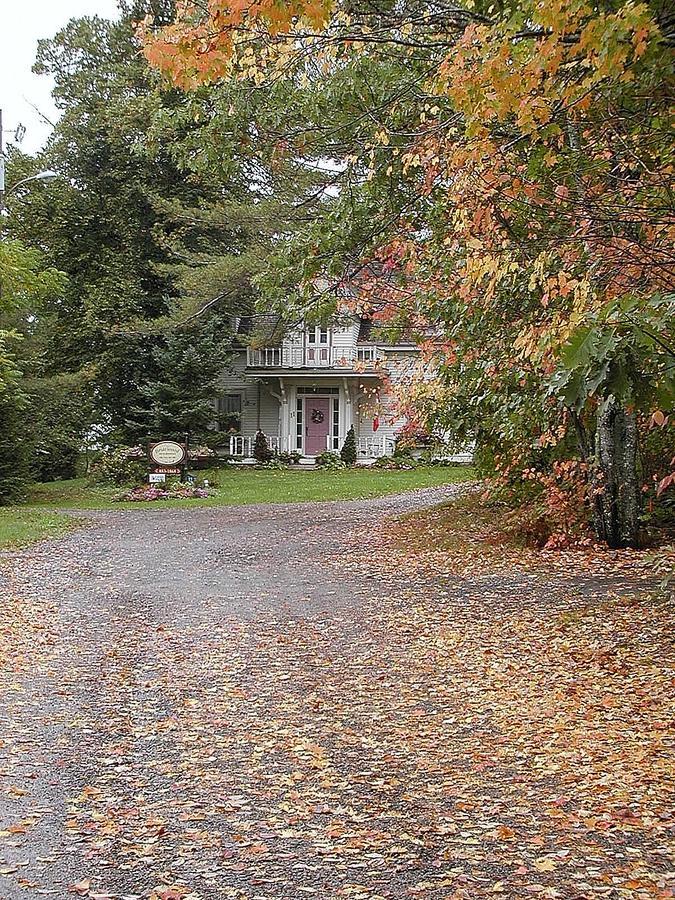 Briarwood Bed & Breakfast Elmsdale Экстерьер фото